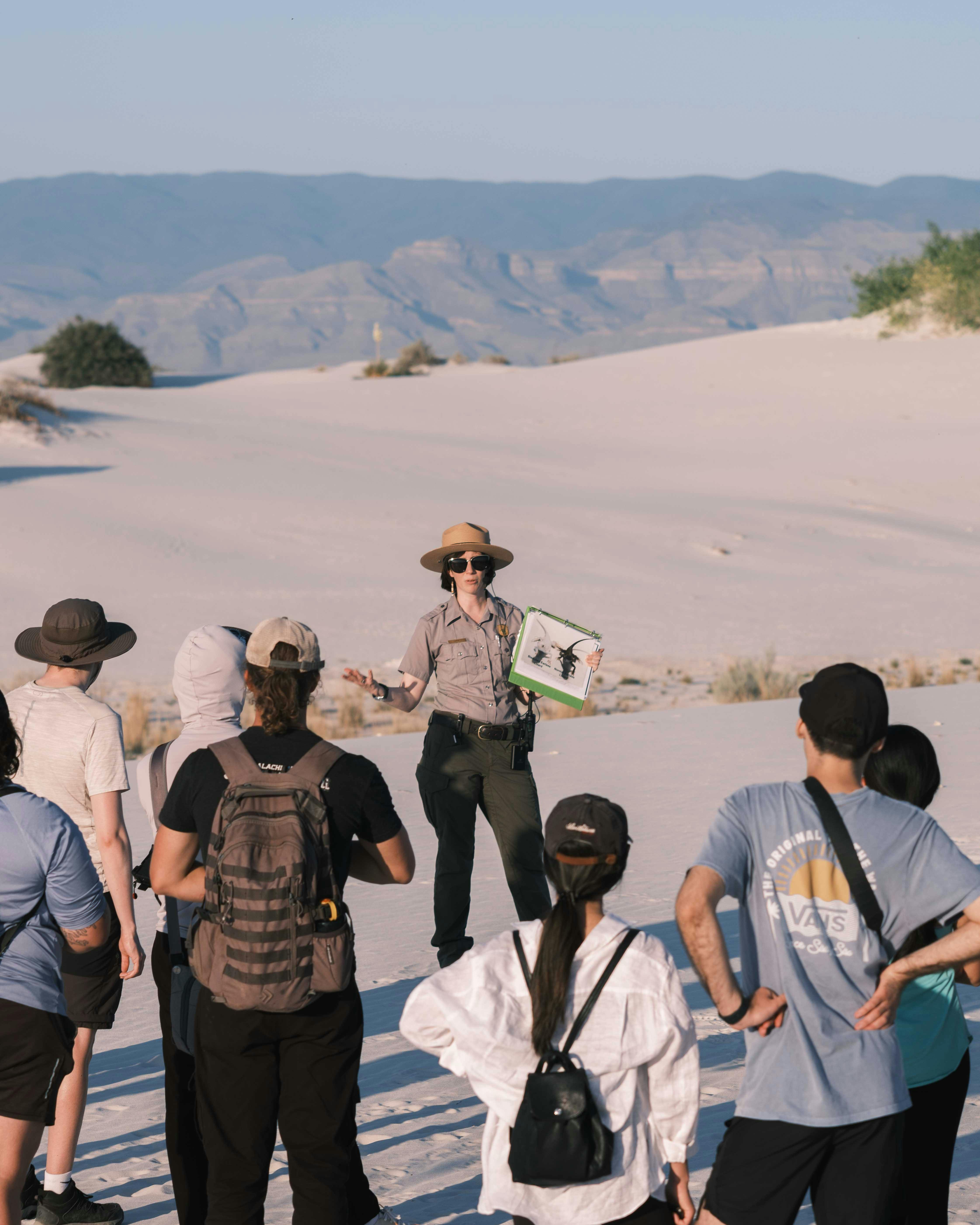 Guided tours and experiences